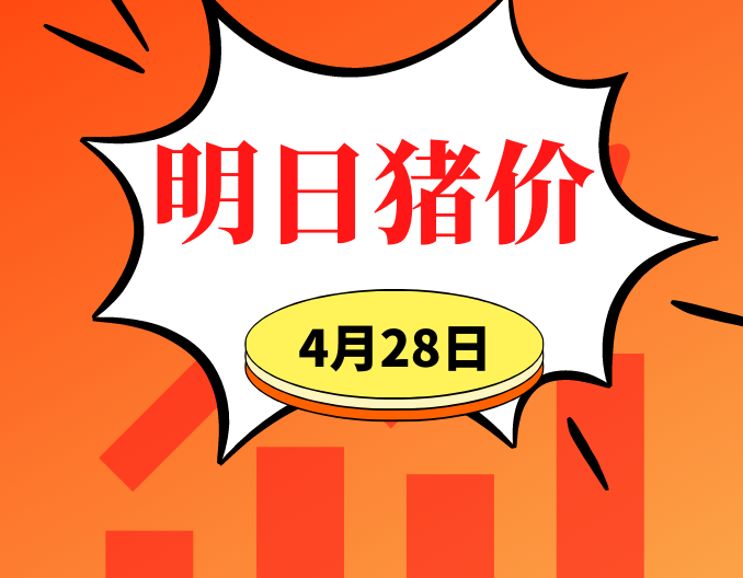 4.28明日猪价早知道,全国最新猪价信息