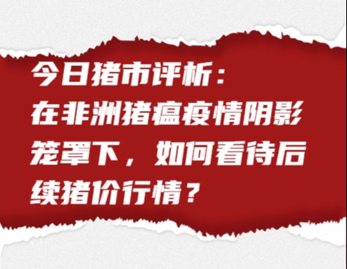 今日猪市评析：在非洲猪瘟疫情阴影笼罩下，如何看待后续猪价行情？