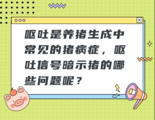 呕吐是养猪生成中常见的猪病症，呕吐信号暗示猪的哪些问题呢？