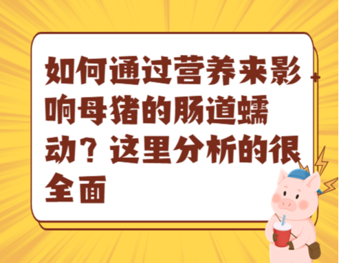 如何通过营养来影响母猪的肠道蠕动？这里分析的很全面