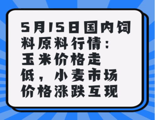 5月15日国内饲料原料行情：玉米价格走低，小麦市场价格涨跌互现