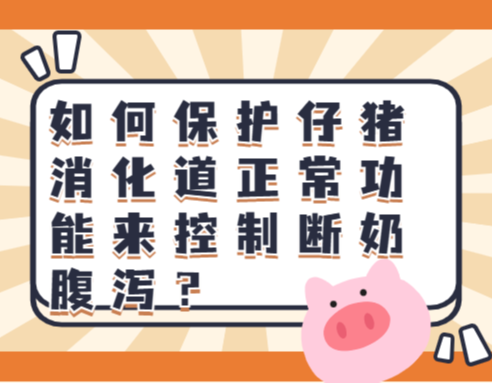 如何保护仔猪消化道正常功能来控制断奶腹泻？