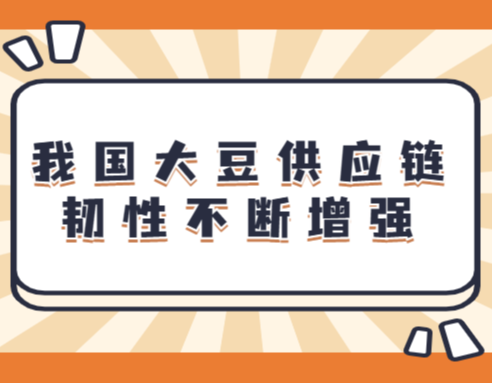 我国大豆供应链韧性不断增强