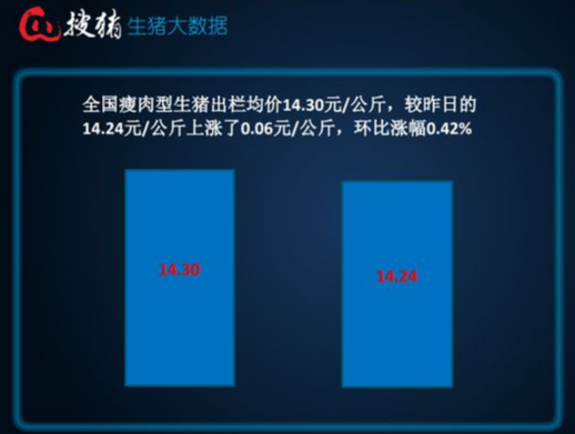 【生猪现货】大部地区呈现反弹，猪市看涨情绪渐