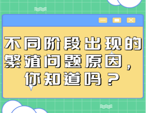 不同阶段出现的繁殖问题原因，你知道吗？