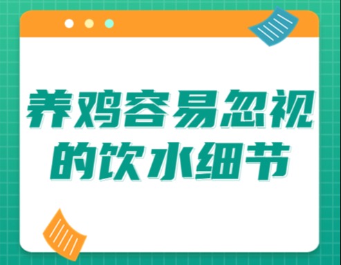 养鸡容易忽视的饮水细节