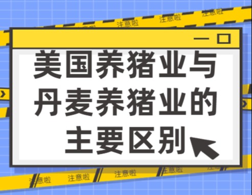 美国养猪业与丹麦养猪业的主要区别