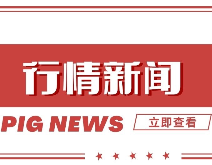 生猪价格“磨底期”将延至6月底 专家建议企业回归本质