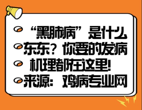 “黑肺病”是什么东东？你要的发病机理都在这里！