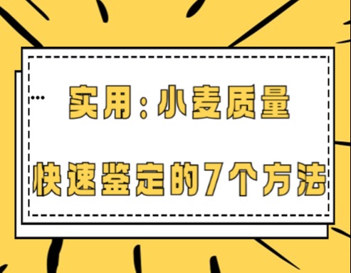 实用：小麦质量快速鉴定的7个方法