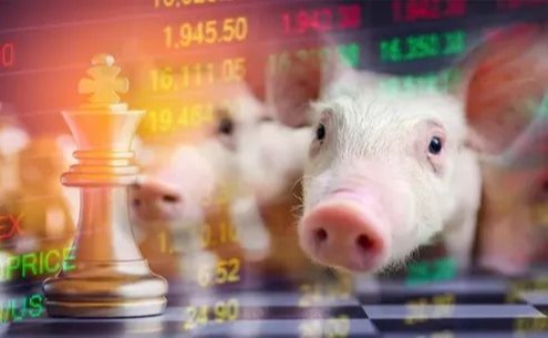 5月能繁母猪存栏下降幅度达2%？猪肉股大幅回暖，官方预计猪价或筑底小幅反弹，但仍面临产能压制！