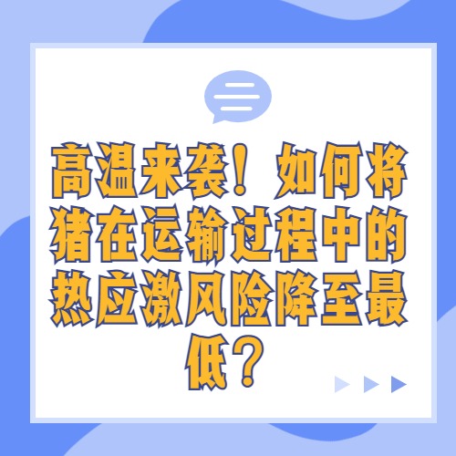 高温来袭！如何将猪在运输过程中的热应激风险降至最低？