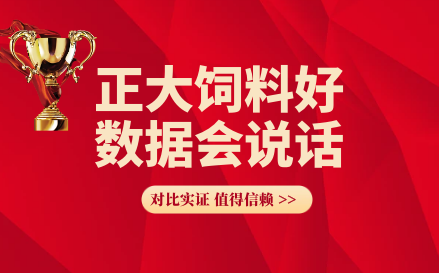 正大饲料好 数据会说话(18) — 使用正大蛋鸭料544S比对比组每万羽阶段多盈利6280.96元