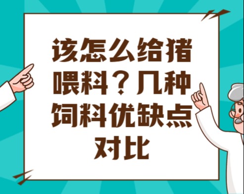 该怎么给猪喂料？几种饲料优缺点对比