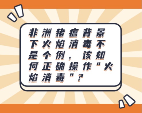 非洲猪瘟背景下火焰消毒不是个例，该如何正确操作“火焰消毒”？