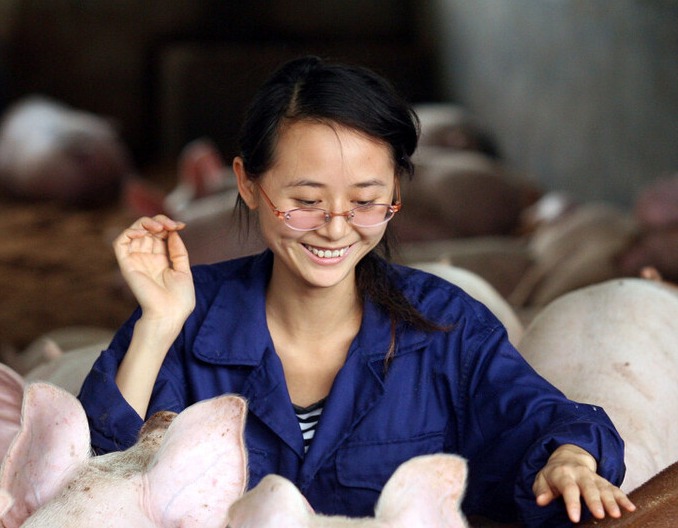 猪价顺势“破”7，养猪散户为什么盼着猪价越低越好？