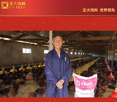 “科技含量高，养殖效益好”昆明正大优秀养殖案例分享