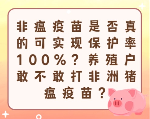 非瘟疫苗是否真的可实现保护率100%？养殖户敢不敢打非洲猪瘟疫苗？