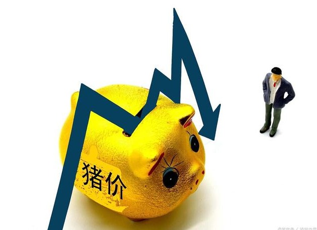 猪价喜迎反转，7月能否开门红？附最新全国玉米、生猪价格