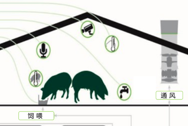 精液稀释液中添加锌元素可提高精液储存期间的精子活力和质量