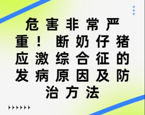 危害非常严重！断奶仔猪应激综合征的发病原因及防治方法