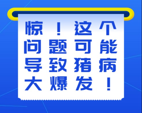 惊！这个问题可能导致猪病大爆发！