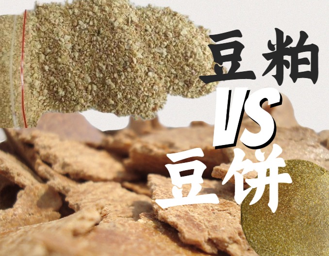 豆粕和豆饼的区别？如何更好地利用两者？