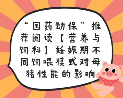 “国药动保”推荐阅读【营养与饲料】妊娠期不同饲喂模式对母猪性能的影响