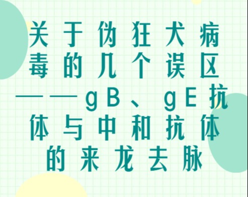 关于伪狂犬病毒的几个误区——gB、gE抗体与中和抗体的来龙去脉