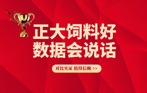 正大饲料好 数据会说话(34)—使用正大582肉牛料每头西门塔尔杂交肉牛头均增重利润600元/头/月