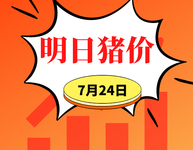 涨！7.24明日猪价早知道,全国最新猪价信息