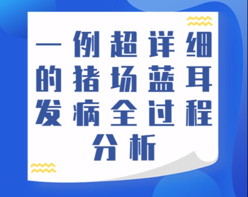 一例超详细的猪场蓝耳发病全过程分析