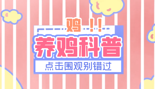 鸡群的全程产蛋量与哪些因素有关？