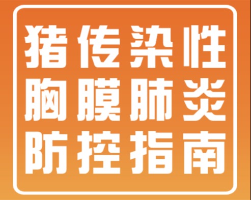 猪传染性胸膜肺炎防控指南