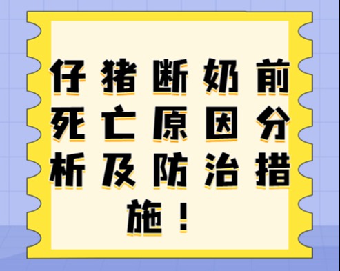 仔猪断奶前死亡原因分析及防治措施！