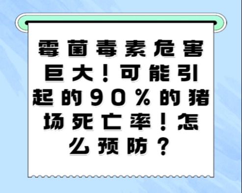 霉菌毒素危害巨大！可能引起的90%的猪场死亡率！怎么预防？