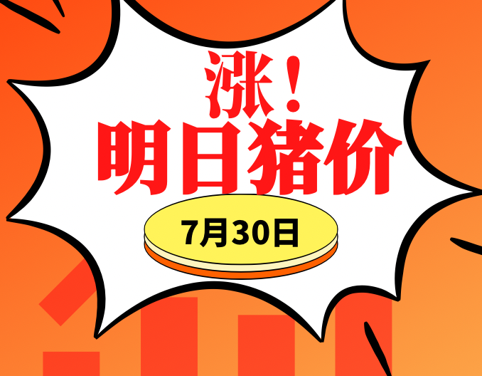 猪价大暴涨！多地涨1元！7.30明日猪价早知道,全国最新猪价信息