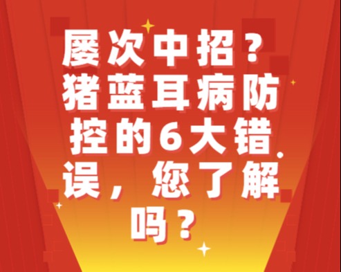 屡次中招？猪蓝耳病防控的6大错误，您了解吗？