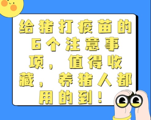 给猪打疫苗的6个注意事项，值得收藏，养猪人都用的到！