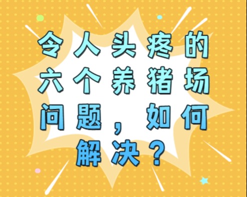 令人头疼的六个养猪场问题，如何解决？