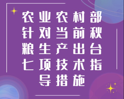 农业农村部针对当前秋粮生产出台七项技术指导措施