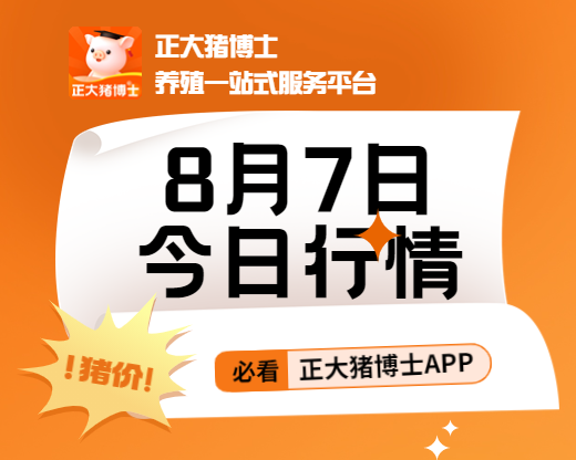 8月7日行情价格视频来啦！速看！