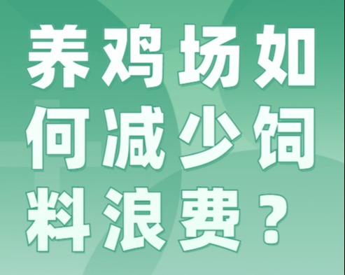 养鸡场如何减少饲料浪费？