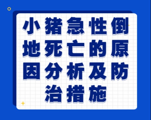 小猪急性倒地死亡的原因分析及防治措施