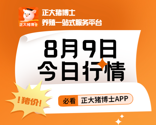 8月9日最新猪价视频来啦！