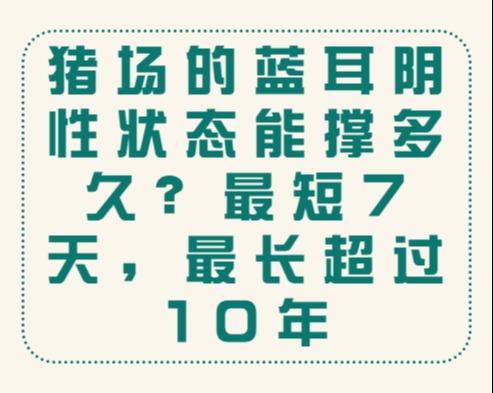 猪场的蓝耳阴性状态能撑多久？最短7天，最长超过10年