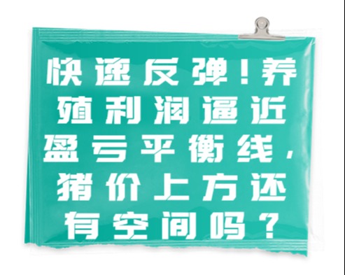 快速反弹！养殖利润逼近盈亏平衡线，猪价上方还有空间吗？