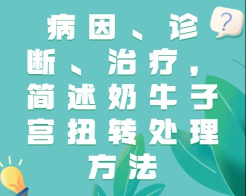 病因、诊断、治疗，简述奶牛子宫扭转处理方法