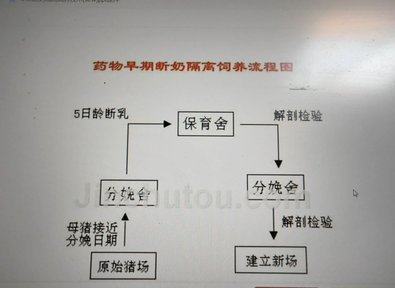 保育猪管理（5）