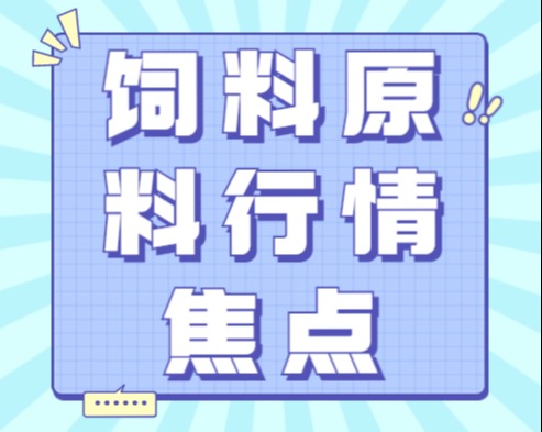 饲料原料行情焦点